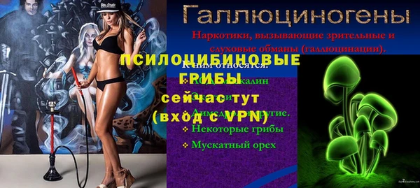 прущие крисы Бородино
